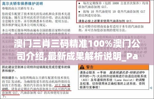 澳门三肖三码精准100%澳门公司介绍,最新成果解析说明_PalmOS7.896