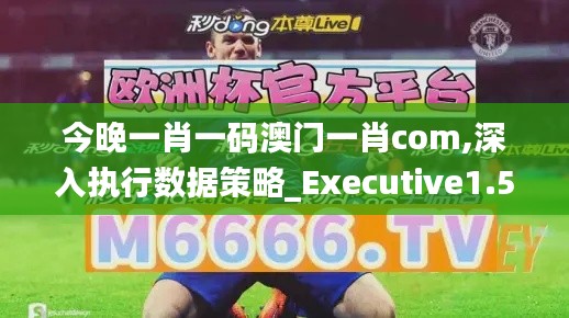 今晚一肖一码澳门一肖com,深入执行数据策略_Executive1.514