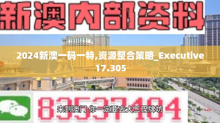 2024新澳一码一特,资源整合策略_Executive17.305