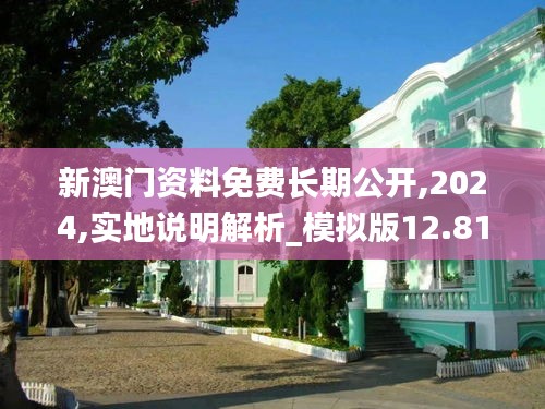 新澳门资料免费长期公开,2024,实地说明解析_模拟版12.817