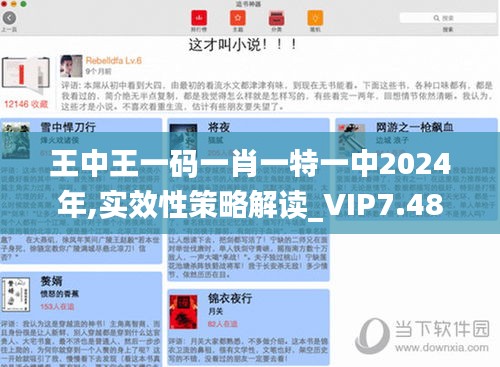 王中王一码一肖一特一中2024年,实效性策略解读_VIP7.487