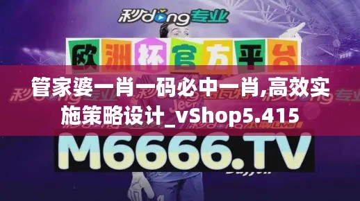 管家婆一肖一码必中一肖,高效实施策略设计_vShop5.415