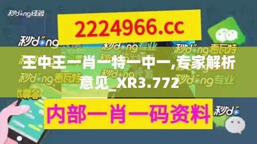 王中王一肖一特一中一,专家解析意见_XR3.772