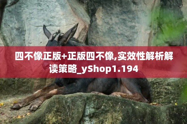 四不像正版+正版四不像,实效性解析解读策略_yShop1.194