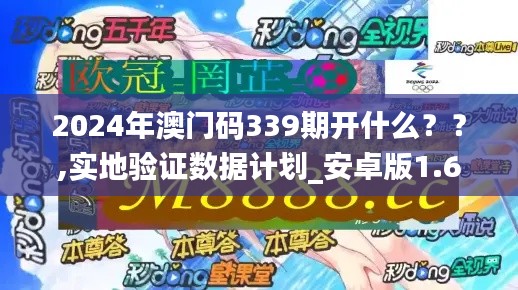 2024年澳门码339期开什么？？,实地验证数据计划_安卓版1.607