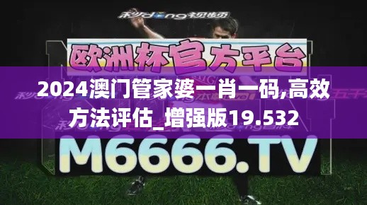 2024澳门管家婆一肖一码,高效方法评估_增强版19.532