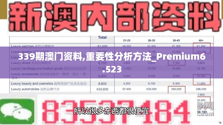 339期澳门资料,重要性分析方法_Premium6.523