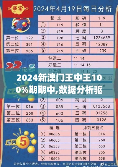 2024新澳门王中王100%期期中,数据分析驱动决策_特供版16.422