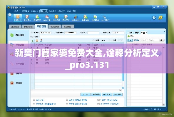 新奥门管家婆免费大全,诠释分析定义_pro3.131