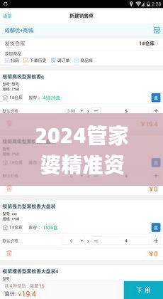 2024管家婆精准资料第三,稳定执行计划_XP13.987