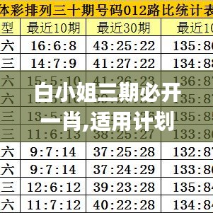 白小姐三期必开一肖,适用计划解析方案_10DM6.281