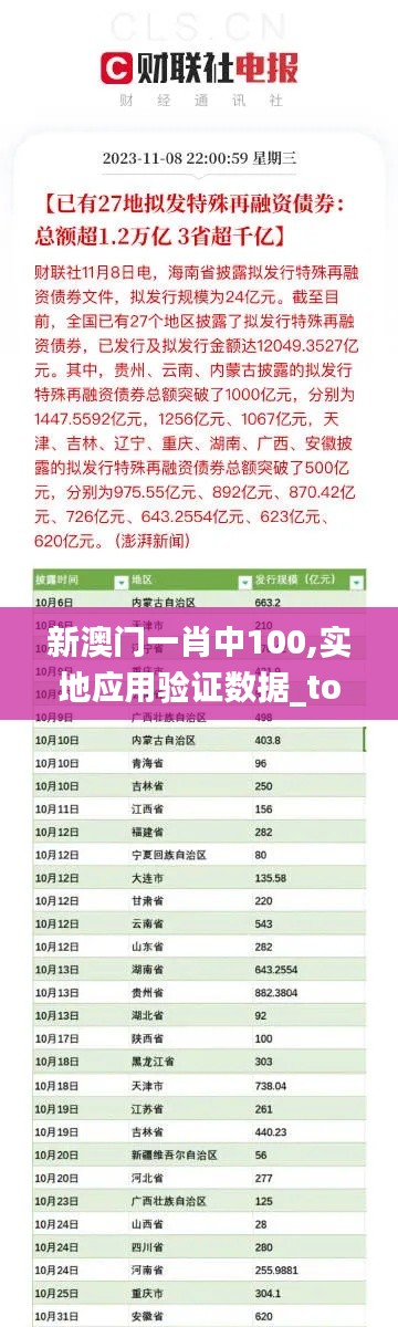 新澳门一肖中100,实地应用验证数据_tool4.579