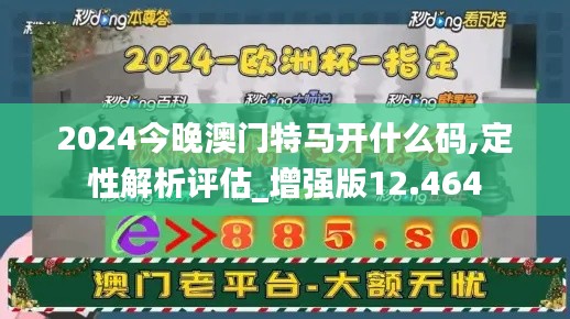 2024今晚澳门特马开什么码,定性解析评估_增强版12.464