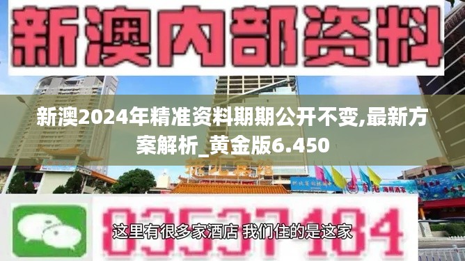 新澳2024年精准资料期期公开不变,最新方案解析_黄金版6.450