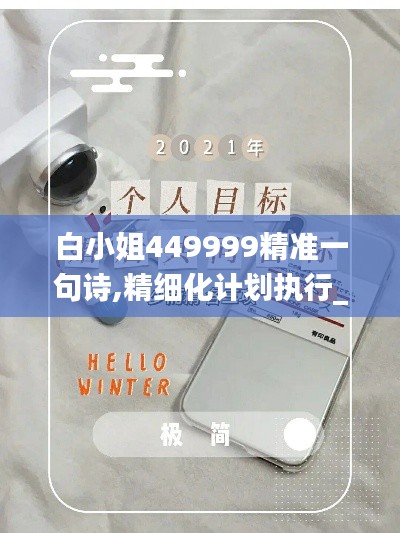 白小姐449999精准一句诗,精细化计划执行_3K5.893