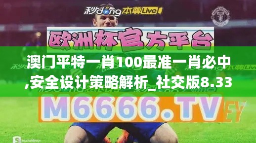 澳门平特一肖100最准一肖必中,安全设计策略解析_社交版8.334