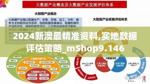 2024新澳最精准资料,实地数据评估策略_mShop9.146