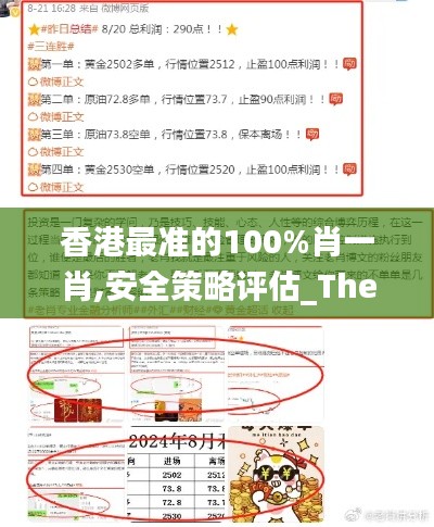 香港最准的100%肖一肖,安全策略评估_The5.196