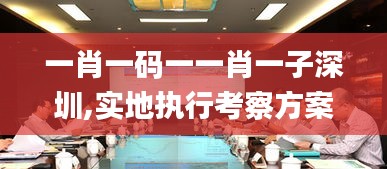 一肖一码一一肖一子深圳,实地执行考察方案_网红版8.710