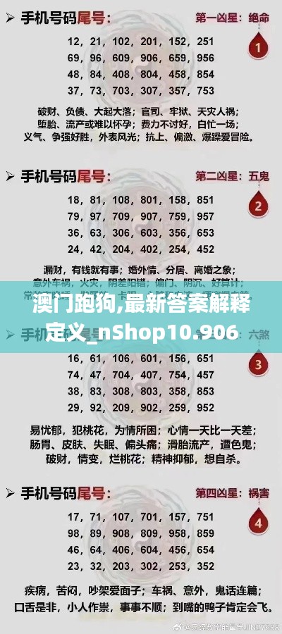 澳门跑狗,最新答案解释定义_nShop10.906