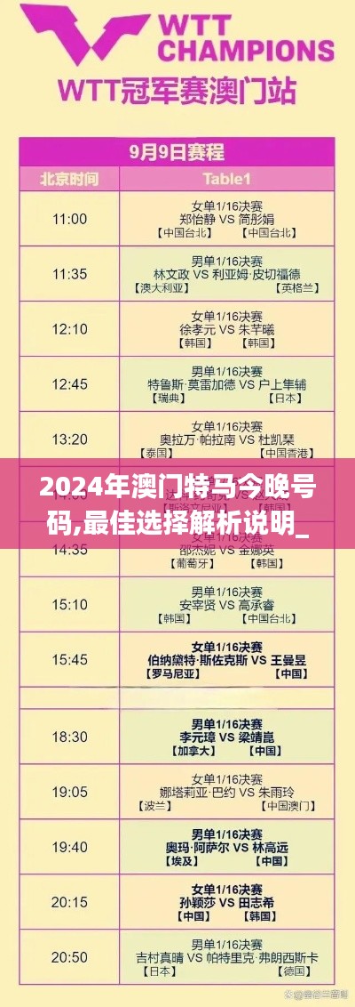 2024年澳门特马今晚号码,最佳选择解析说明_WP13.450