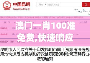 澳门一肖100准免费,快速响应方案落实_黄金版5.773