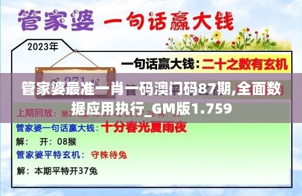 管家婆最准一肖一码澳门码87期,全面数据应用执行_GM版1.759