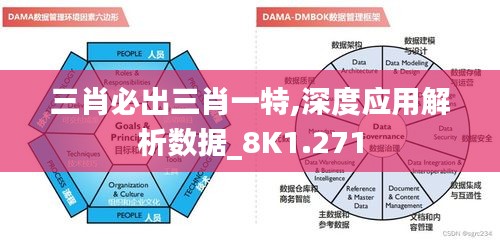 三肖必出三肖一特,深度应用解析数据_8K1.271