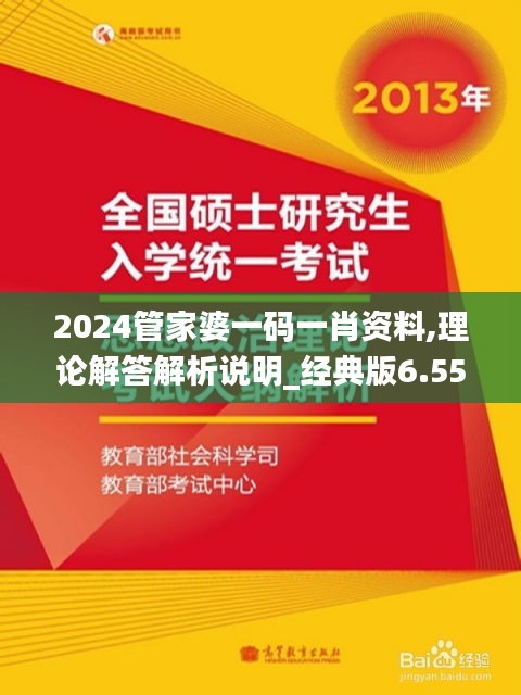 2024管家婆一码一肖资料,理论解答解析说明_经典版6.553