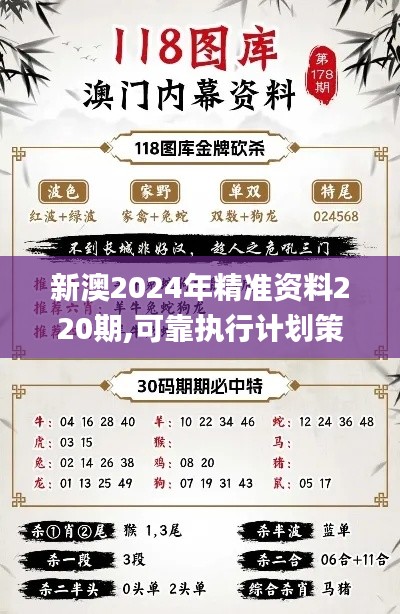 新澳2024年精准资料220期,可靠执行计划策略_专家版4.697