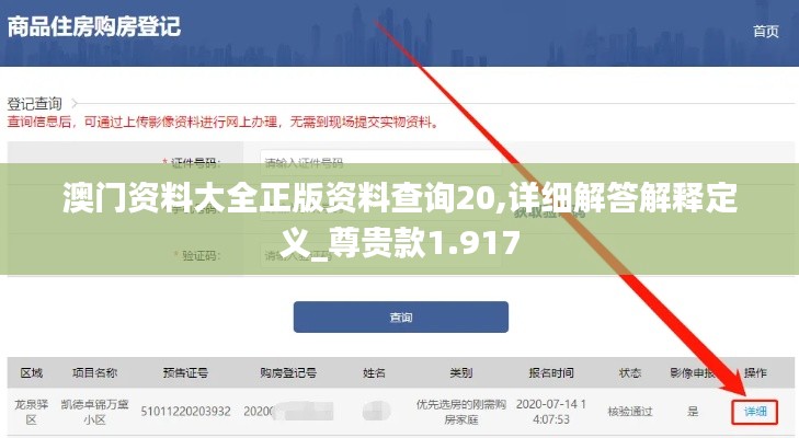 澳门资料大全正版资料查询20,详细解答解释定义_尊贵款1.917