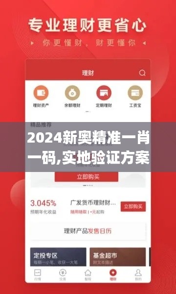 2024新奥精准一肖一码,实地验证方案策略_Premium6.210