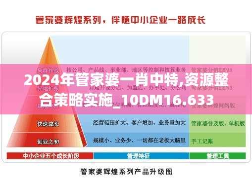 2024年管家婆一肖中特,资源整合策略实施_10DM16.633