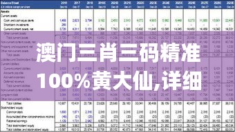 澳门三肖三码精准100%黄大仙,详细数据解释定义_HD7.249