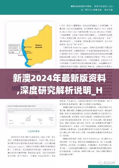 新澳2024年最新版资料,深度研究解析说明_Holo3.847