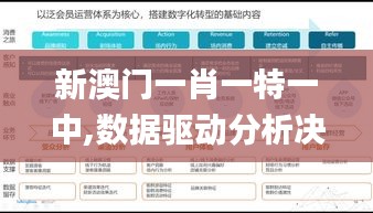 新澳门一肖一特一中,数据驱动分析决策_游戏版7.460