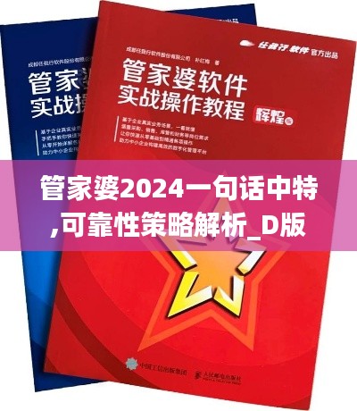 管家婆2024一句话中特,可靠性策略解析_D版9.949