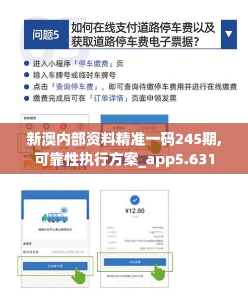 新澳内部资料精准一码245期,可靠性执行方案_app5.631