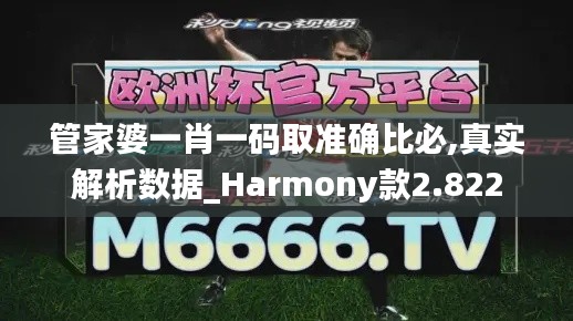 管家婆一肖一码取准确比必,真实解析数据_Harmony款2.822