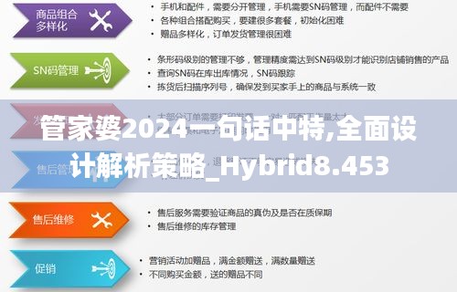 管家婆2024一句话中特,全面设计解析策略_Hybrid8.453