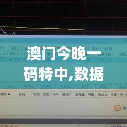 澳门今晚一码特中,数据导向实施步骤_S16.690