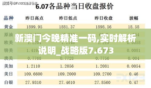 新澳门今晚精准一码,实时解析说明_战略版7.673