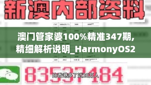 澳门管家婆100%精准347期,精细解析说明_HarmonyOS2.118