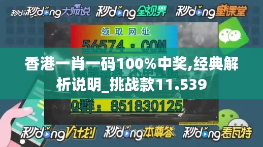 香港一肖一码100%中奖,经典解析说明_挑战款11.539