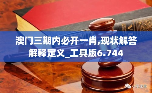 澳门三期内必开一肖,现状解答解释定义_工具版6.744