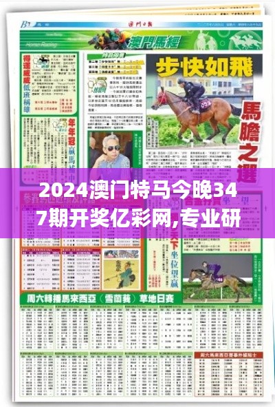 2024澳门特马今晚347期开奖亿彩网,专业研究解析说明_模拟版16.513