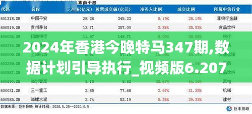 2024年香港今晚特马347期,数据计划引导执行_视频版6.207