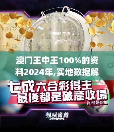 澳门王中王100%的资料2024年,实地数据解释定义_冒险版3.120