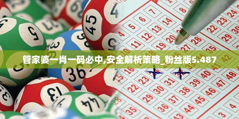 管家婆一肖一码必中,安全解析策略_粉丝版5.487