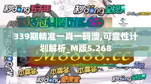 339期精准一肖一码澳,可靠性计划解析_M版5.268